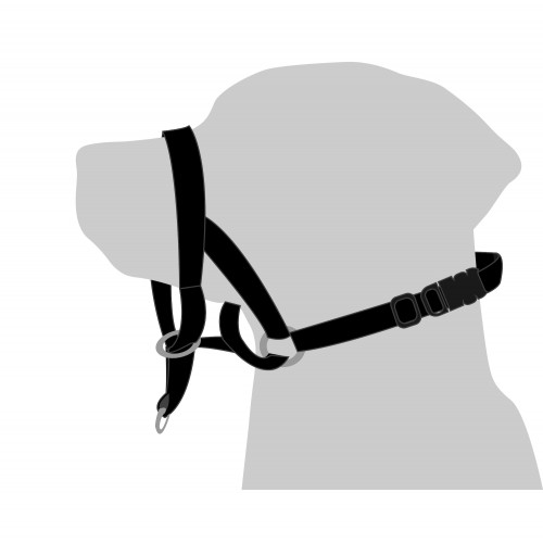 Недоуздок для собак (халти) S