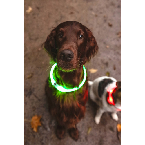 ОШЕЙНИК С 3 УРОВНЯМИ СВЕТА, зелёный цвет (33-63,5 см)