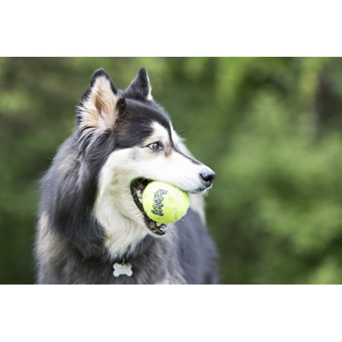 теннисный мяч KONG SQUEAKAIR (6,4 см)