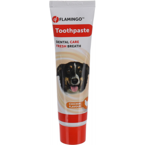 ЗУБНАЯ ПАСТА TOOTHPASTE 
