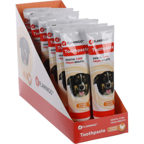 ЗУБНАЯ ПАСТА TOOTHPASTE 