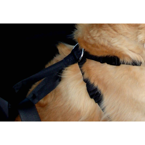 Шлея dOG SAFETY ЧЕРНЫЙ L