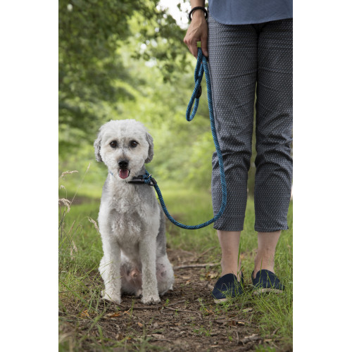 ПОВОДОК АНТИТЯНУЩИЙСЯ СЕМ СИНИЙ