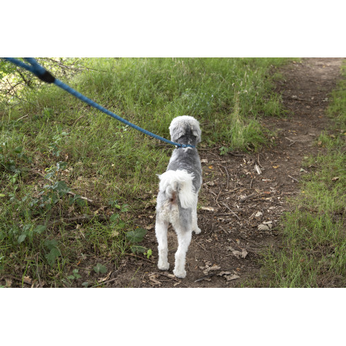 ПОВОДОК АНТИТЯНУЩИЙСЯ СЕМ СИНИЙ