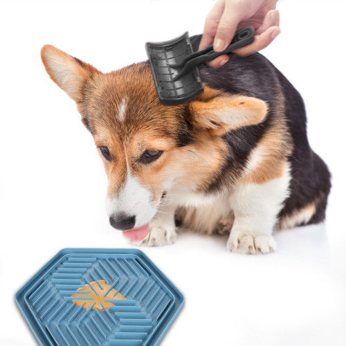 Лизательный коврик Голубой