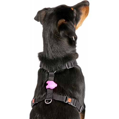 Фонарик для ошейника hjpjdsq wdtn