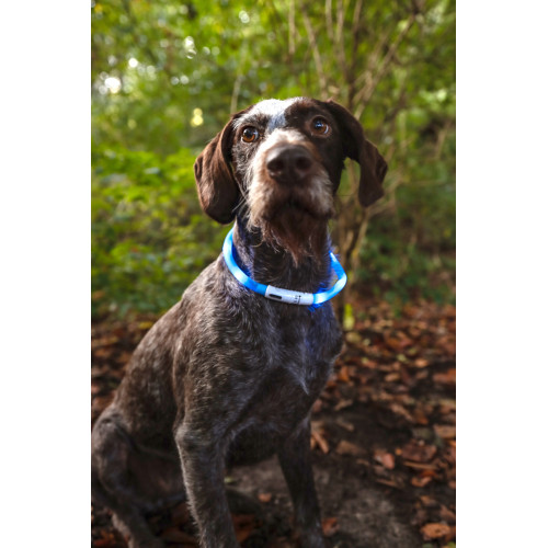 ОШЕЙНИК С 3 УРОВНЯМИ СВЕТА, Голубой цвет 