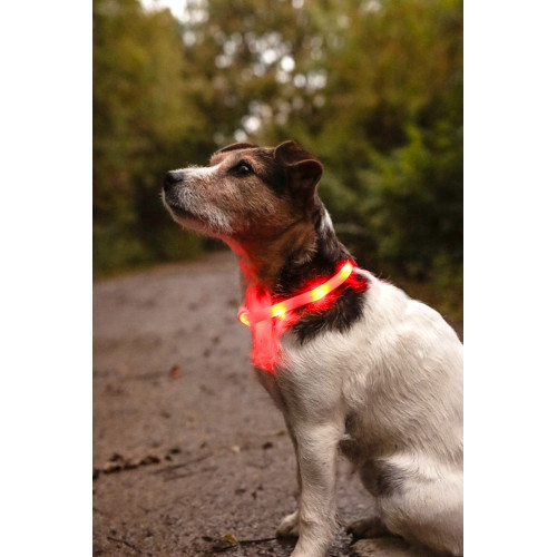 ОШЕЙНИК С 3 УРОВНЯМИ СВЕТА, красный цвет (20-70см)