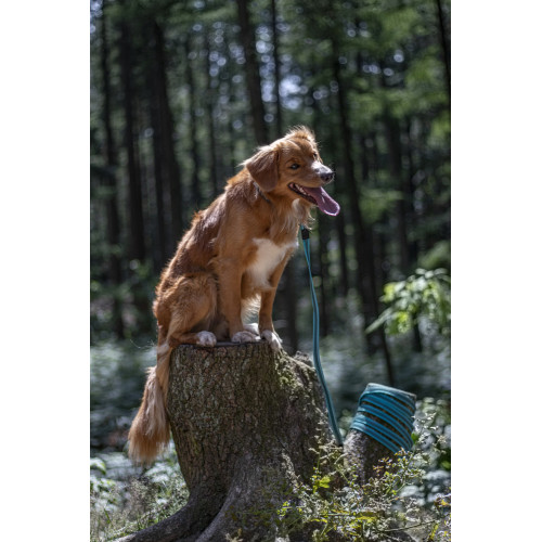 Тренировочный поводок XENO БИРЮЗОВЫЙ 5м