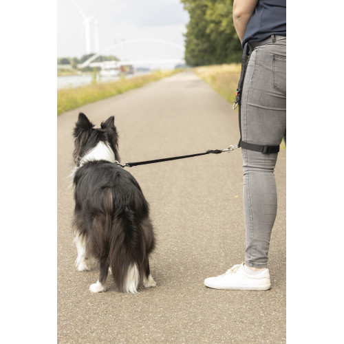 ПОВОДОК LEGLEADER, черный, M (42-60 см)