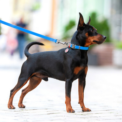 Поводок WAUDOG Waterproof, водостойкий, цвет голубой S 3,05 м