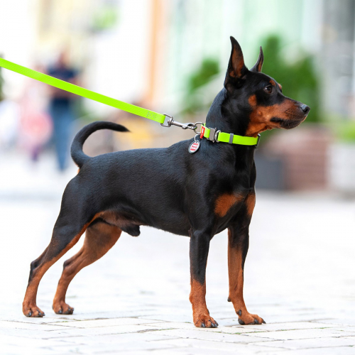 Поводок WAUDOG Waterproof, водостойкий, цвет салатовый M 3,05 м