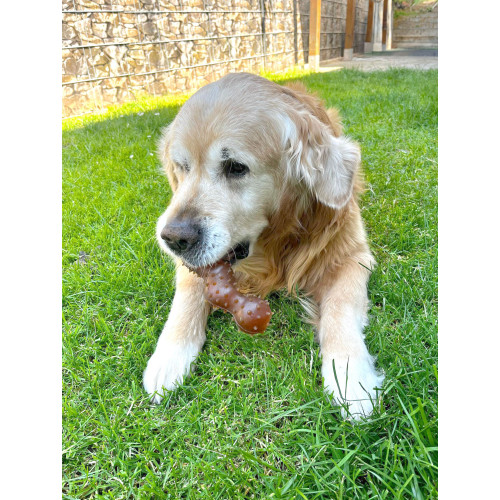 ИГРУШКА ЗМЕЯ RUBBA 