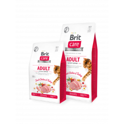 Brit Care Cat GF Adult Activity Support