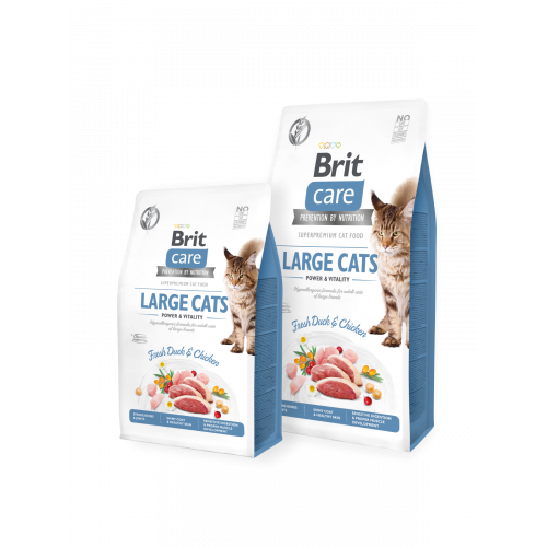 Brit Care Cat GF Large Cats