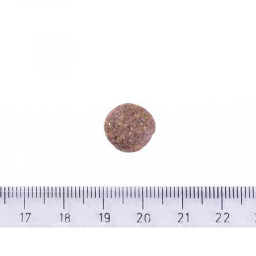 Brit Care Grain-free Adult Salmon