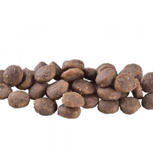 Brit Care Grain-free Puppy Salmon 