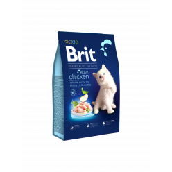 Brit premium Kitten