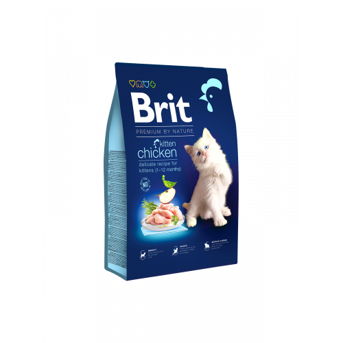 Brit premium Kitten