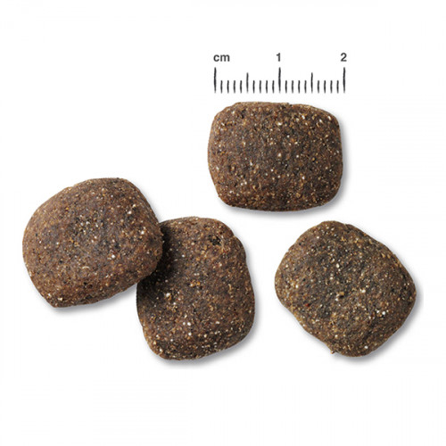 Belcando Adult Power