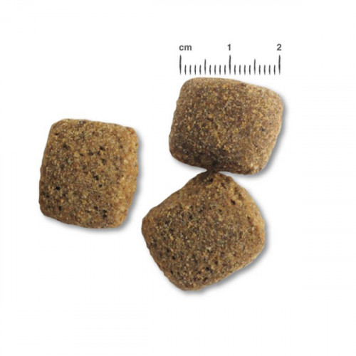 Belcando Adult Active