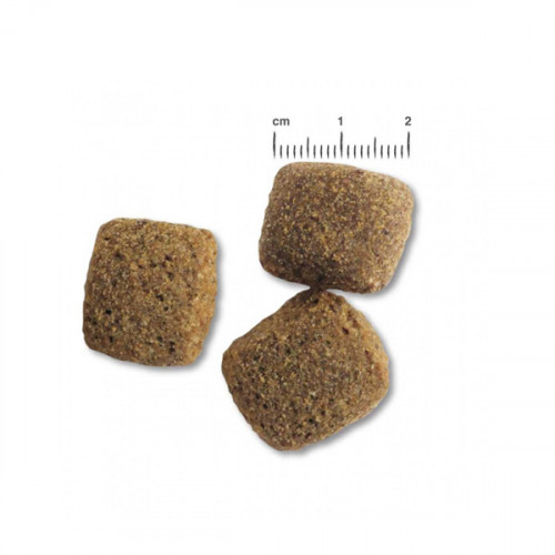 Belcando Adult Dinner