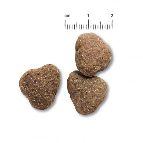 Belcando Adult GF Poultry