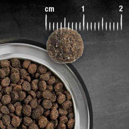 Belcando Baseline Joker