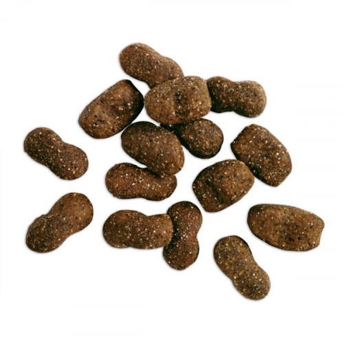 Belcando Baseline Young