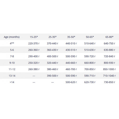 Belcando Baseline Young