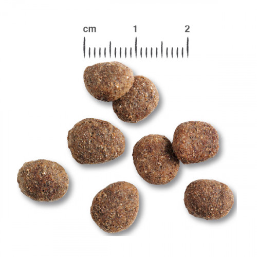 Belcando Finest Light