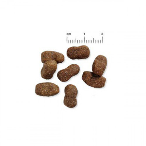 Belcando Adult GF Beef