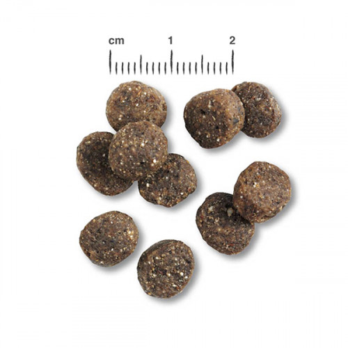 Belcando Finest Salmon