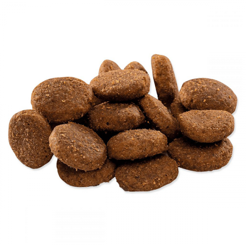 Brit Premium Junior XL