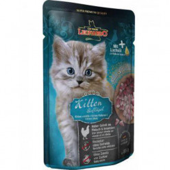 Leonardo for kittens