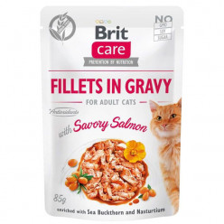 Brit Care Cat with salmon in sauce