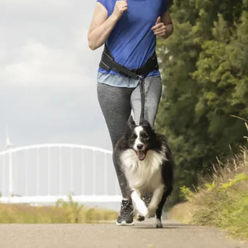 Поводок-ремень для бега трусцой Canicross черного цвета 125-140cm