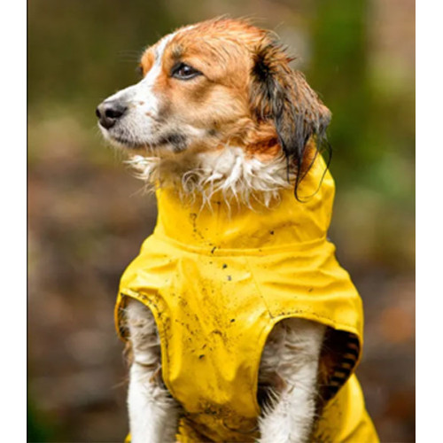 Rain Coat Ciro Yellow 75cm