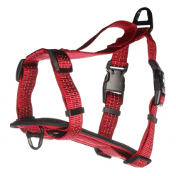 Шлейка H-Harness Zorba красная XL