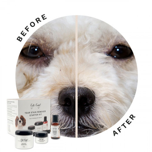 EyeEnvy Стартовый набор для удаления пятен от слез собак (3 шт)