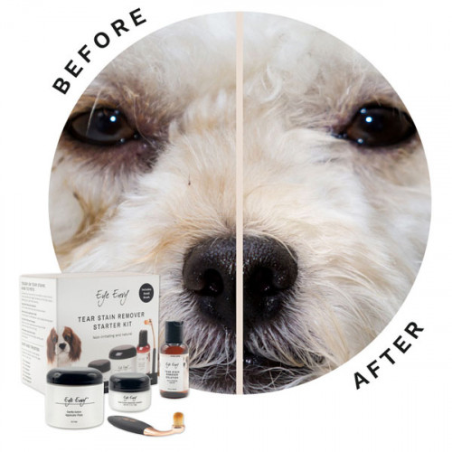 EyeEnvy Стартовый набор для удаления пятен от слез собаки с кисточкой (4 шт) 