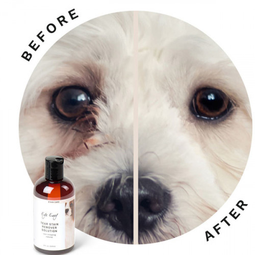 Eye Envy NR Solution Лосьон для удаления пятен от слез 