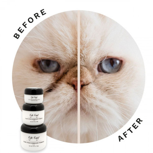  EyeEnvy Пудра для устранения слезоточивых пятен