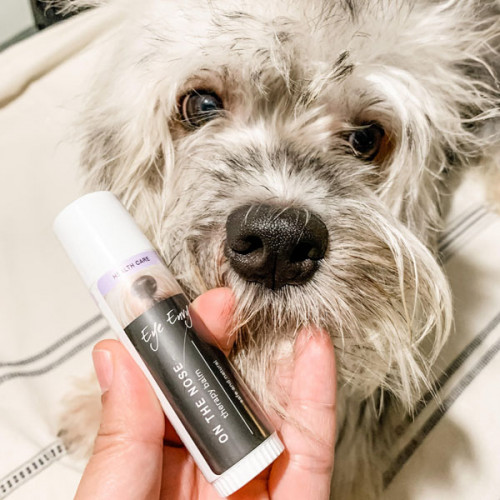  EyeEnvy Лечебный бальзам для носа