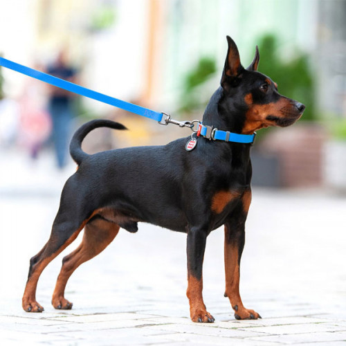 Поводок WAUDOG Waterproof, водостойкий, цвет голубой M 1,83 м