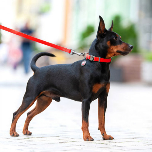 Поводок WAUDOG Waterproof, водостойкий, цвет красный S 1,83 м