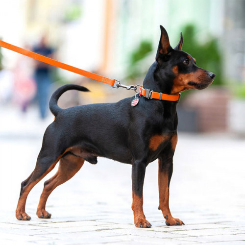 Поводок WAUDOG Waterproof, водостойкий, цвет оранжевый M 1,83 м