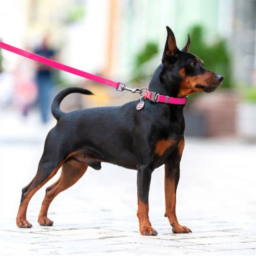 Поводок WAUDOG Waterproof, водостойкий, цвет розовый M 1,83 м