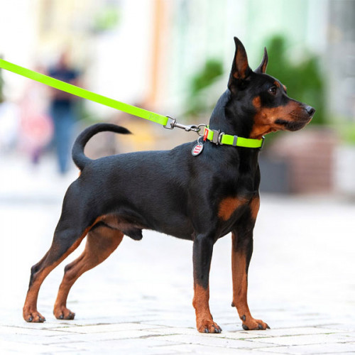 Поводок WAUDOG Waterproof, водостойкий, цвет салатовый S 1,83 м