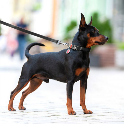 Поводок WAUDOG Waterproof, водостойкий, цвет черный M 1,8 м